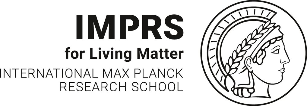 International Max Planck Research School